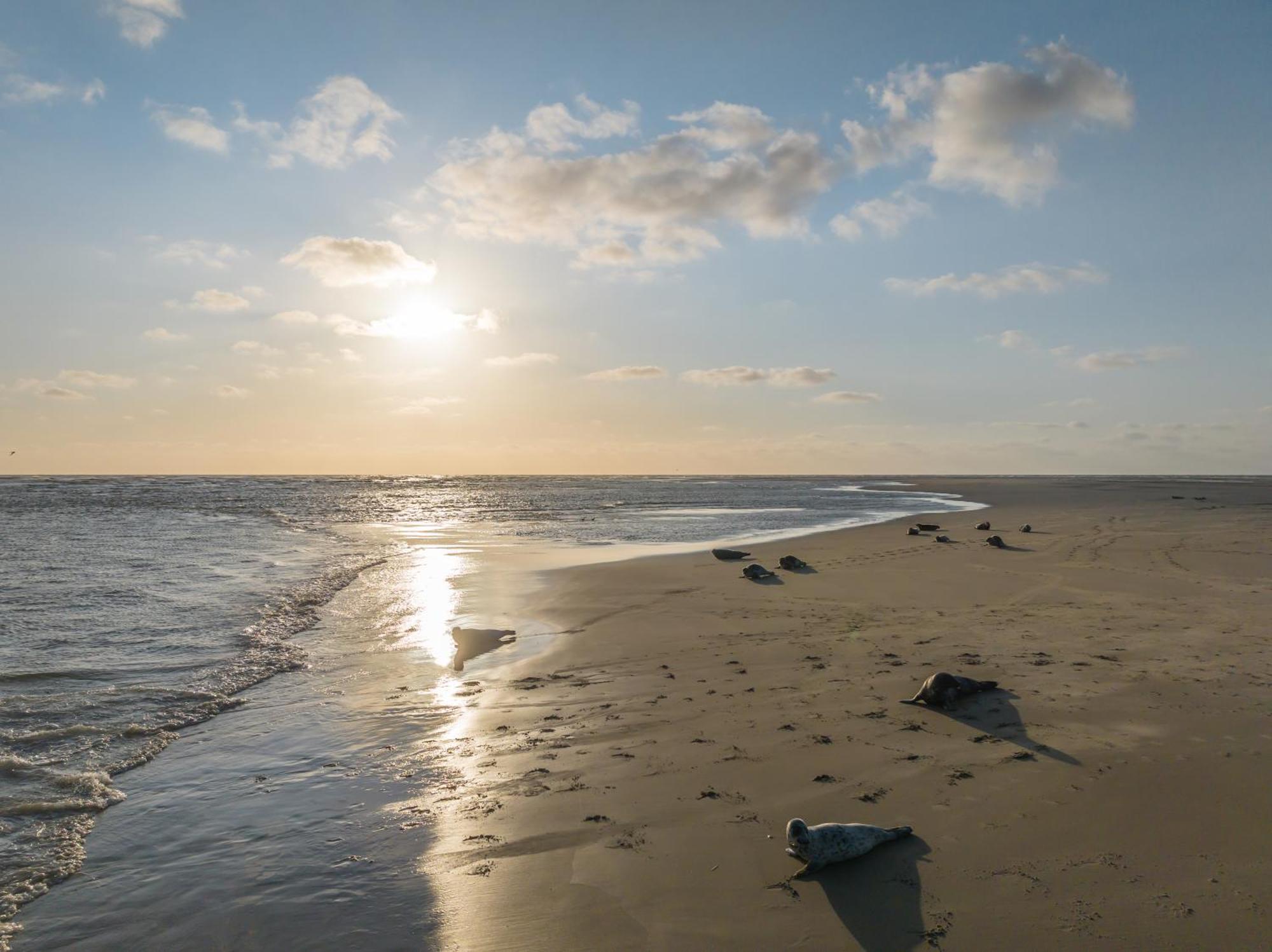 Hotel De Zeeuwse Stromen Renesse Bagian luar foto
